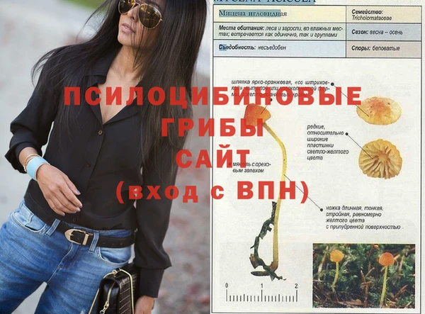 дживик Алексеевка