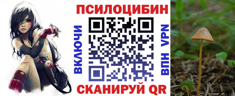 Псилоцибиновые грибы Cubensis  цены наркотик  даркнет наркотические препараты  Динская 